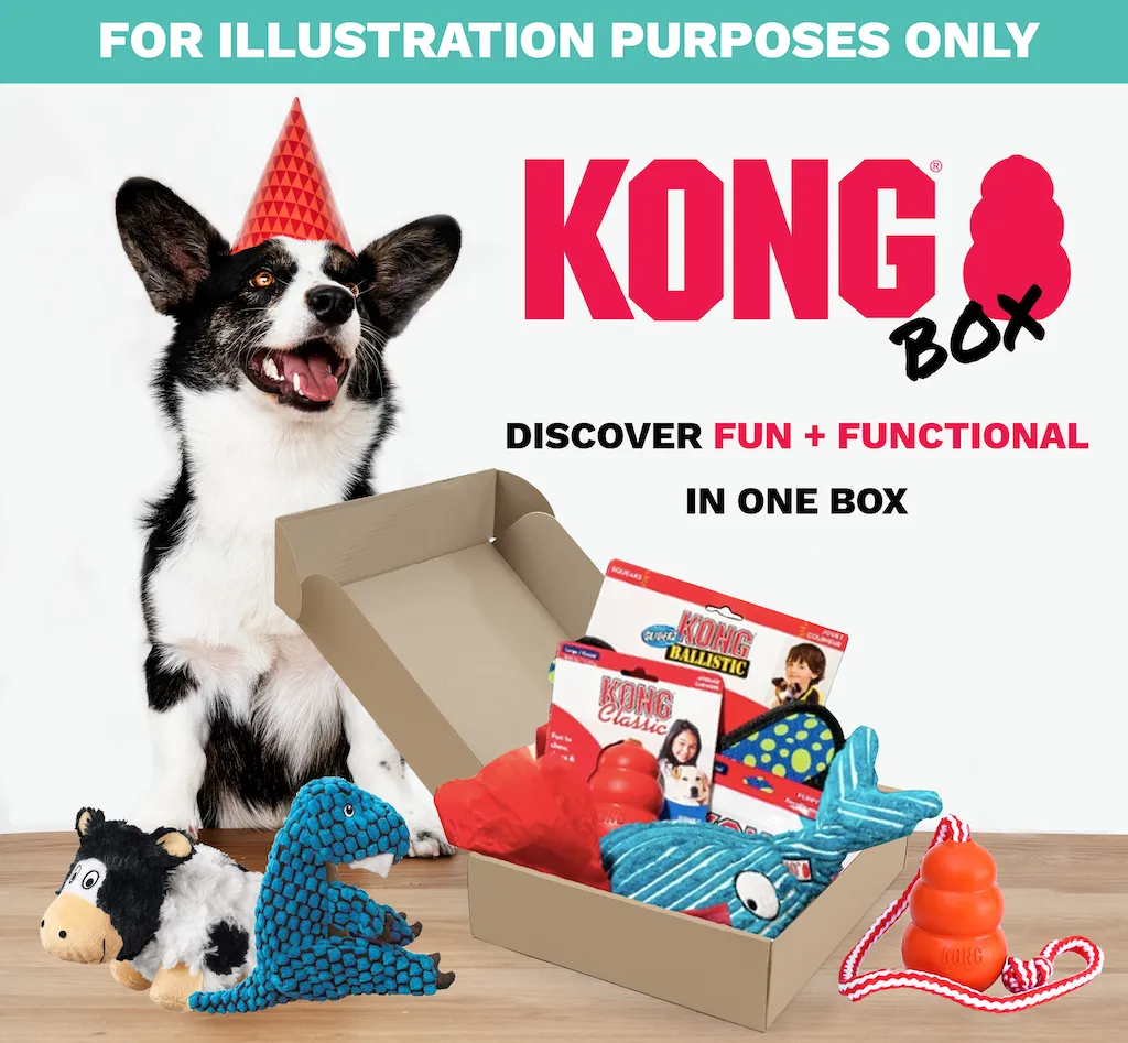 30% OFF: Kong Puppy Teethers Box