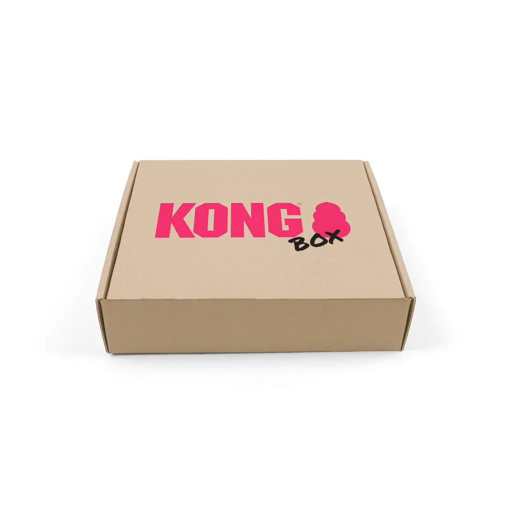 30% OFF: Kong Puppy Teethers Box