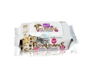 Bioion Pet Pounce Wet Wipes