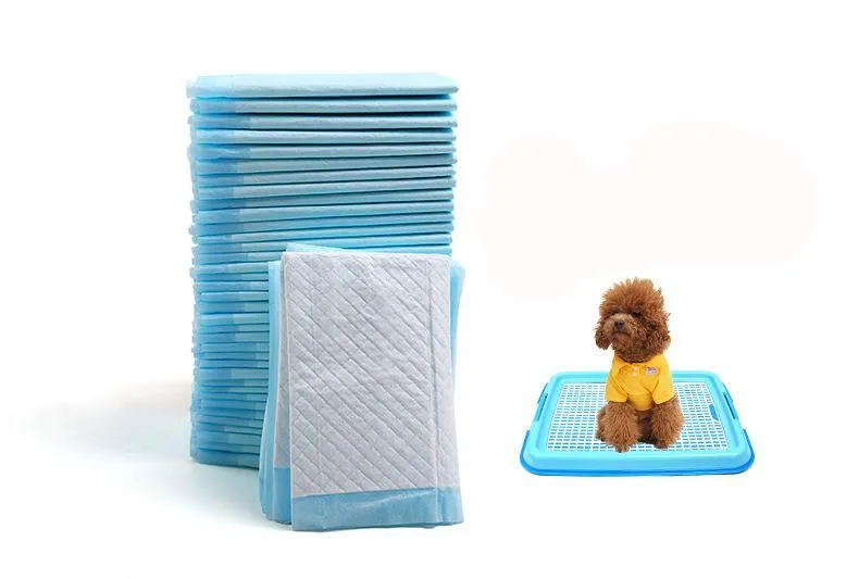 Disposable Absorbent Diapers