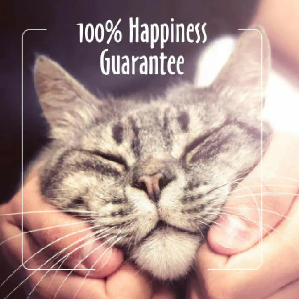 Earthbath Hypo-Allergenic Fragrance-Free Cat Grooming Wipes (100 ct)