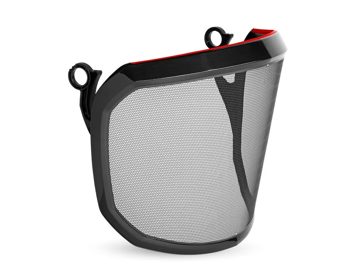 e.s. Metal-etching visor F39 Protos®