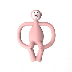 Matchstick Monkey Animal Teether (Pickle Pig)