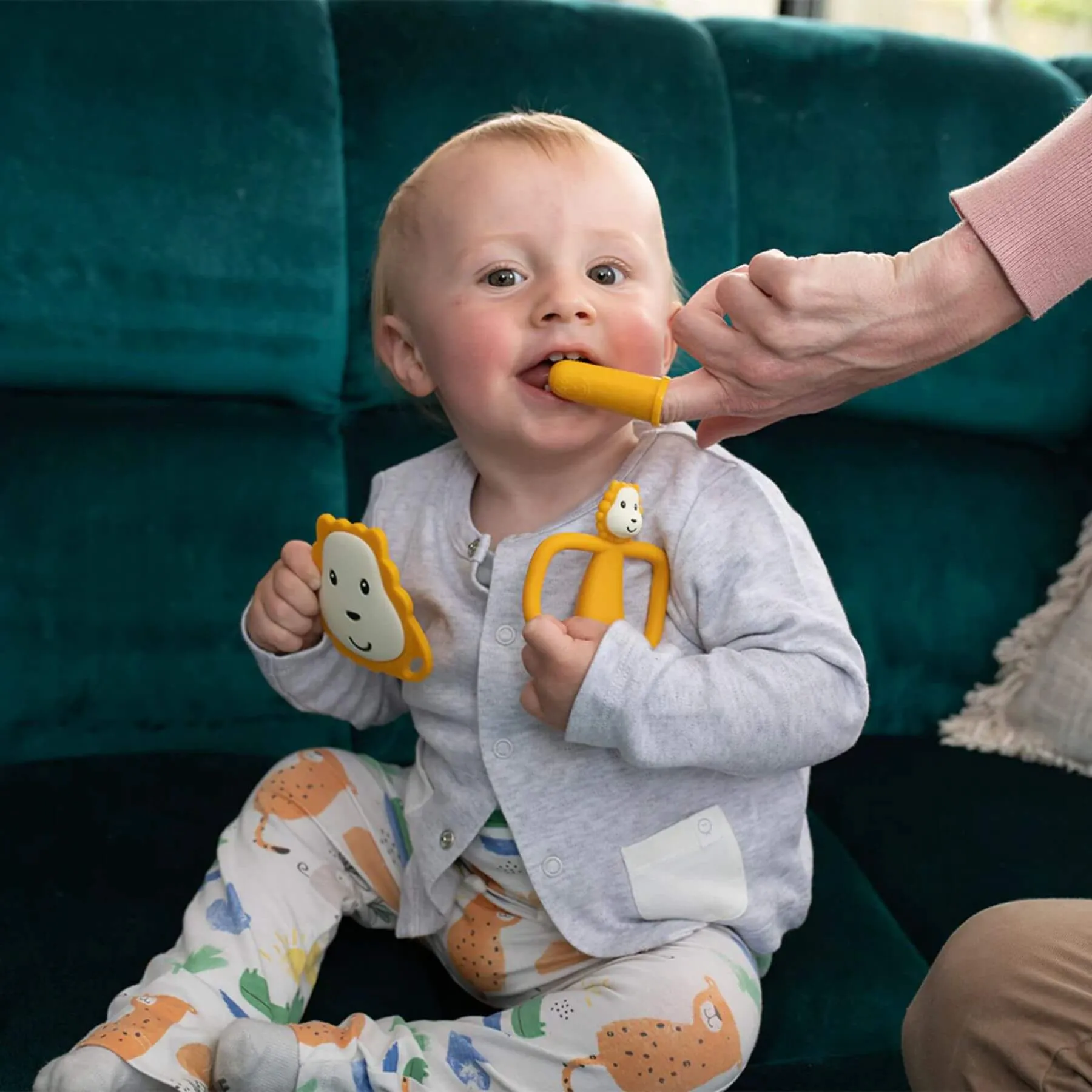 Matchstick Monkey Teething Starter Set (Ludo Lion)