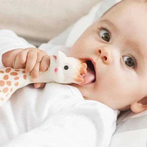 Sophie the Giraffe Teether